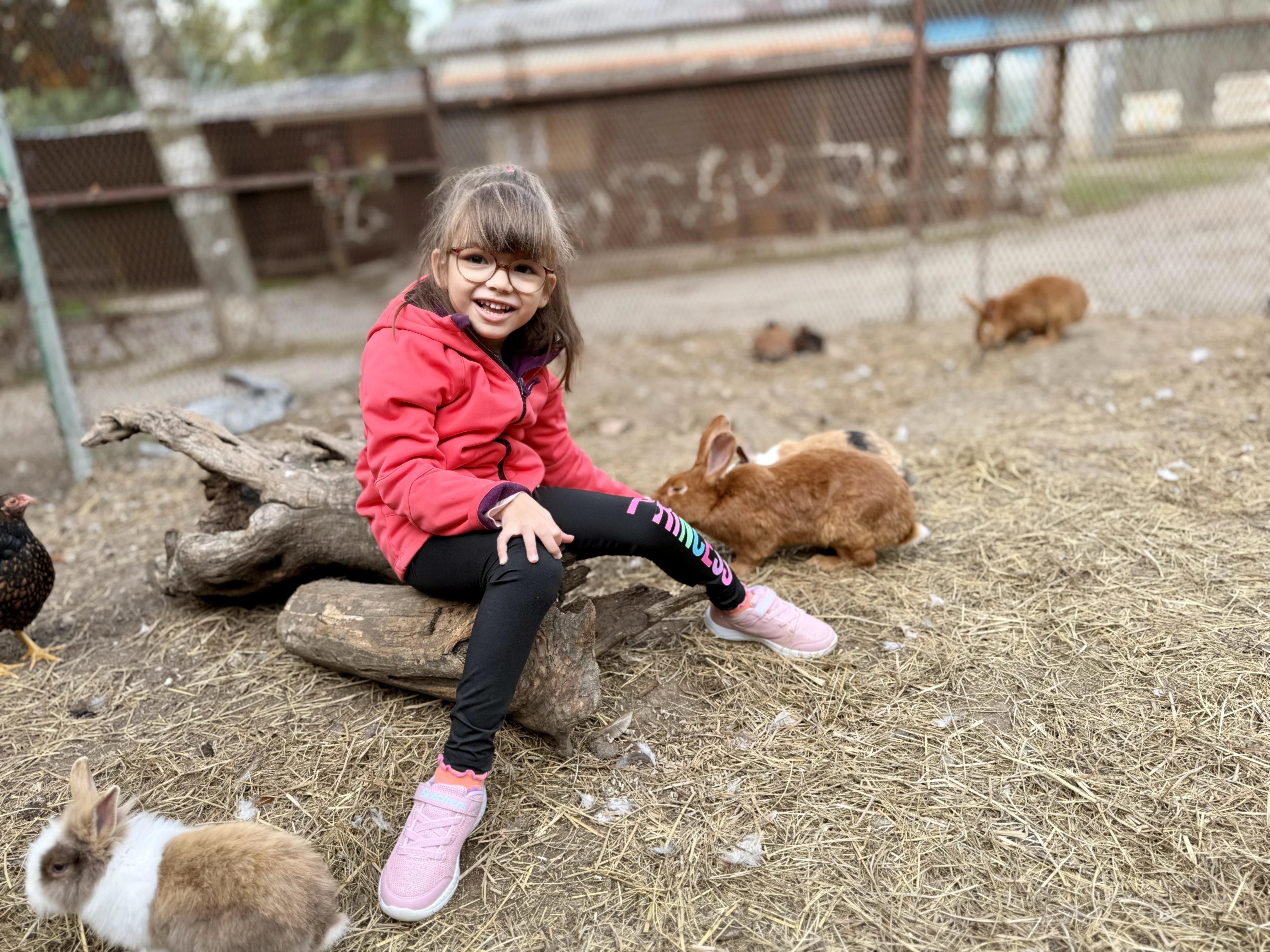 Lana avec des lapins